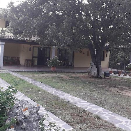 Agriturismo La Tuva Vila Padru Exterior foto
