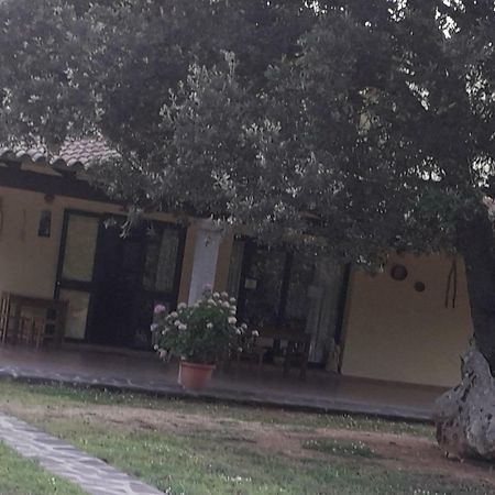 Agriturismo La Tuva Vila Padru Exterior foto