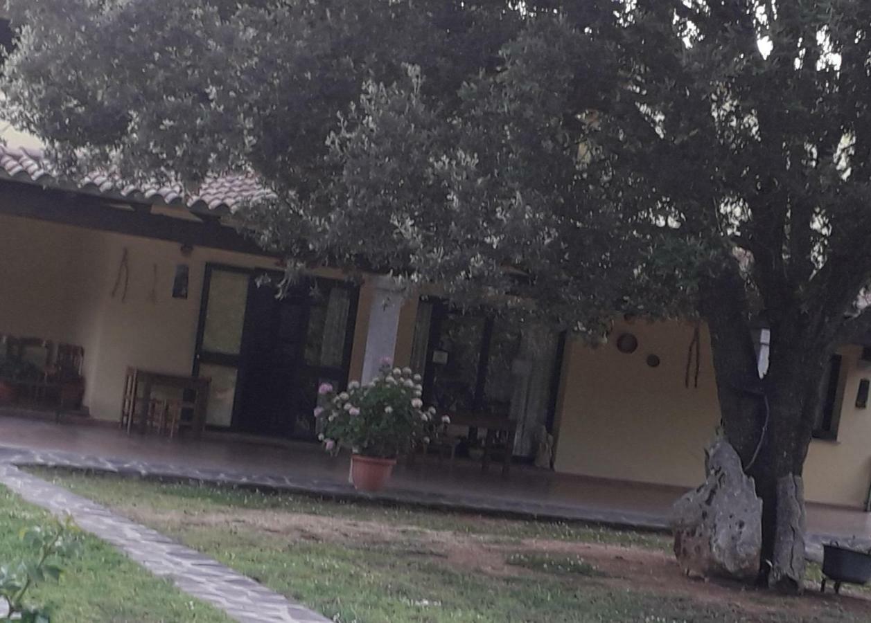 Agriturismo La Tuva Vila Padru Exterior foto